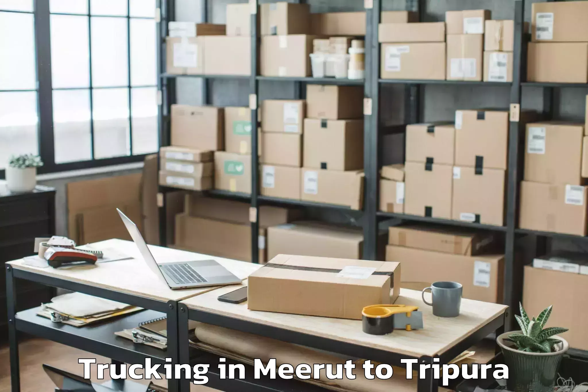 Discover Meerut to Tripura Trucking